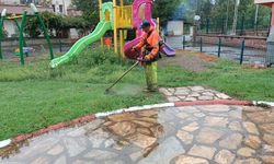 Parklara kış bakımı
