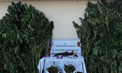 Uyuşturucu tacirlerine büyük operasyon