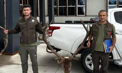 Kaçak avcılığa geçit yok: 5 kişiye ceza!