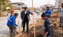 "İklim değişikliğinin olumsuz etkilerini minimuma indirmek için fidan dikiyoruz"
