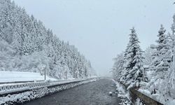 Karadeniz'de kar güzelliği