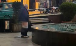Sokak ortasındaki süs havuzuna tuvaletini yaptı