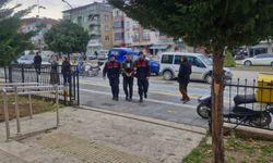 8 ton odun kaçakçılığı: 1 tutuklama