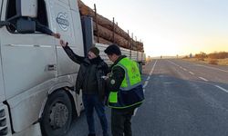 10 noktada orman emvali kontrolü yapıldı