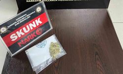Skunkla yakalanan şahıs gözaltına alındı