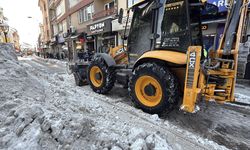 2 günde 5 bin ton kar toplandı