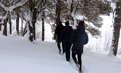 Kar kalınlığı 30 santime ulaştı