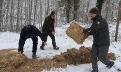 Yaban hayvanları için doğaya yem bırakıldı