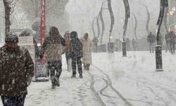 5 ilçede eğitime kar engeli