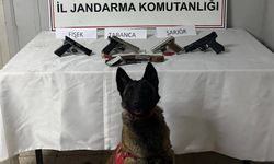 Jandarmadan baskın: 5 adet ruhsatsız tabanca ele geçirildi