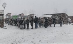 Kar 10 cm, rezillik diz boyu!