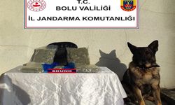 Yolcu otobüsünde yasaklı madde ele  geçirildi:  2 gözaltı