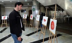 Organları sanat eserine dönüştürüyor