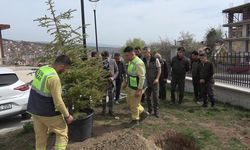 Adalet Sarayı bahçesinde fidanlar toprakla buluşturuldu