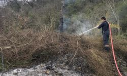 Kuru otlar alev aldı, erken müdahale faciayı önledi