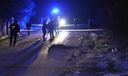 Mezarlıkta biten korkunç olayın sanıklarına ağırlaştırılmış müebbet talebi
