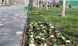 Millet Bahçesi yaz sezonuna hazırlanıyor