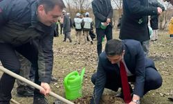 Şehit ve gaziler için fidan dikildi