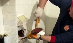 Soba bacasında sıkışan güvercinin yardımına itfaiye koştu