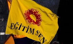 Gelin birlikte hareket edelim: Mücadelemizi büyütelim!