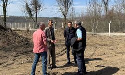 3 bin hayvan kapasiteli barınak yapılıyor