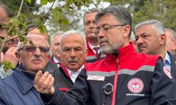 Bakan Yumaklı: Zirai don nedeniyle zarar gören ağaçlarda gelişigüzel budama yapılmamalı