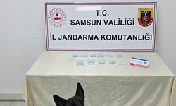 Ev ve iş yerlerinde yasaklı madde bulunan 2 şüpheliye gözaltı