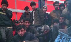 Tır dolusu düzensiz göçmen yakalandı: Sürücü tutuklandı