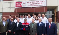 Kokarca bu yılın konusu değil