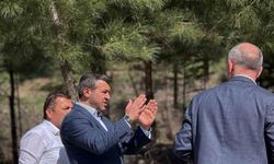 Başkan Özkan Çetinkaya çalışmaları inceledi