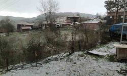 Ceviz büyüklüğünde dolu yağdı