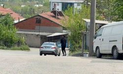 Duyarlı sürücü ve vatandaş, kaplumbağaları ezilmekten kurtardı