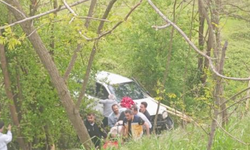 Otomobil tarlaya uçtu, dede ve iki torunu yaralandı