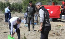 Emekli öğretmenler doğa için kolları sıvadı, onlarca fidan dikti