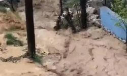 Aşırı yağış sele neden oldu