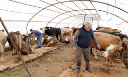 Kurbanlık satış yerinde hazırlıklar tamam