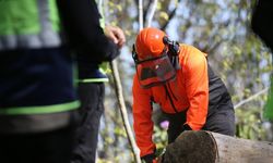 Ormanda eğitim tatbikatı yapıldı