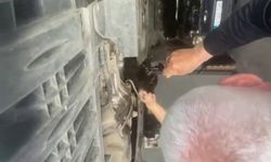 Otomobilin motoruna giren kediyi tamirci kurtardı