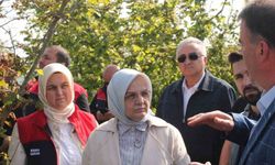 Zirai donun etkilediği yerde inceleme