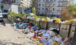 Bu fotoğraf Zonguldak’ta çekildi: Sosyal medya yıkıldı