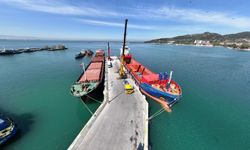 Bozhane Limanı, tam kapasite hizmete başladı