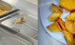 KYK’nın sabah menüsü: Fareli omlet, böcekli patates!