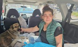 Veterinerde ölen köpeğinin yerine aynı gün sokak köpeğini sahiplendi