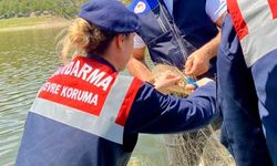 Ağa takılan balıkları jandarma kurtardı
