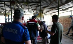 Kurbanlık satış ve kesim yerlerinde denetim