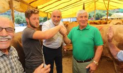 Kurbanlıklar görücüye çıktı
