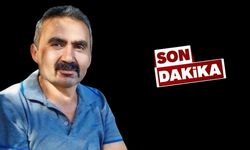 Kestiği ağacın altında kalan Durmuş Gülen hayatını kaybetti