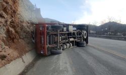 Meyve yüklü kamyon devrildi