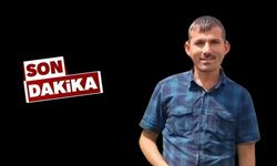 Yanan ormanın temizlik çalışmasında traktörün altında kaldı!