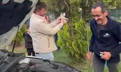 Otomobilin motoruna sıkışan yavru kedi kurtarıldı